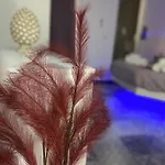 Apartman Brimiky House *