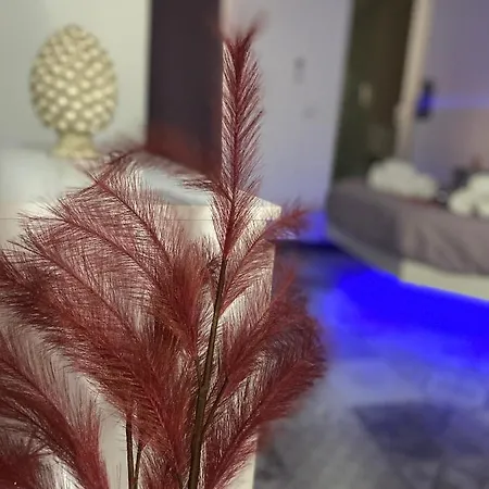 Apartamento Brimiky House *